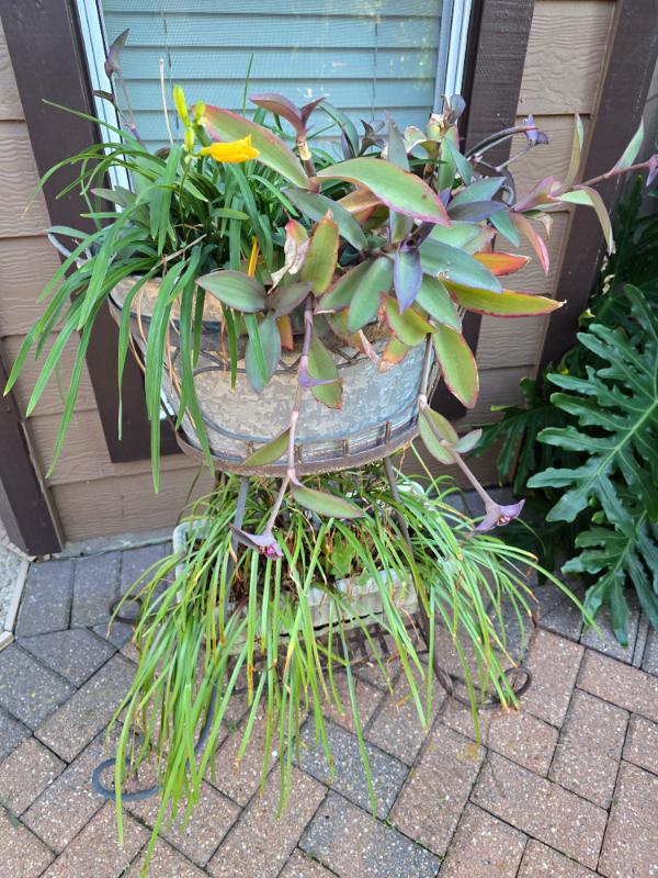 Sale Photo Thumbnail #136