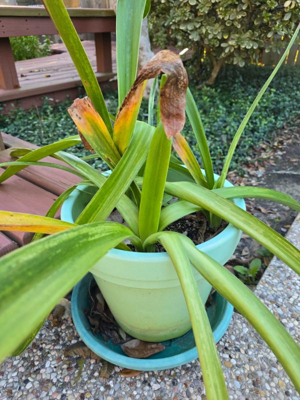 Sale Photo Thumbnail #141