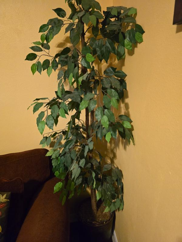 Sale Photo Thumbnail #38