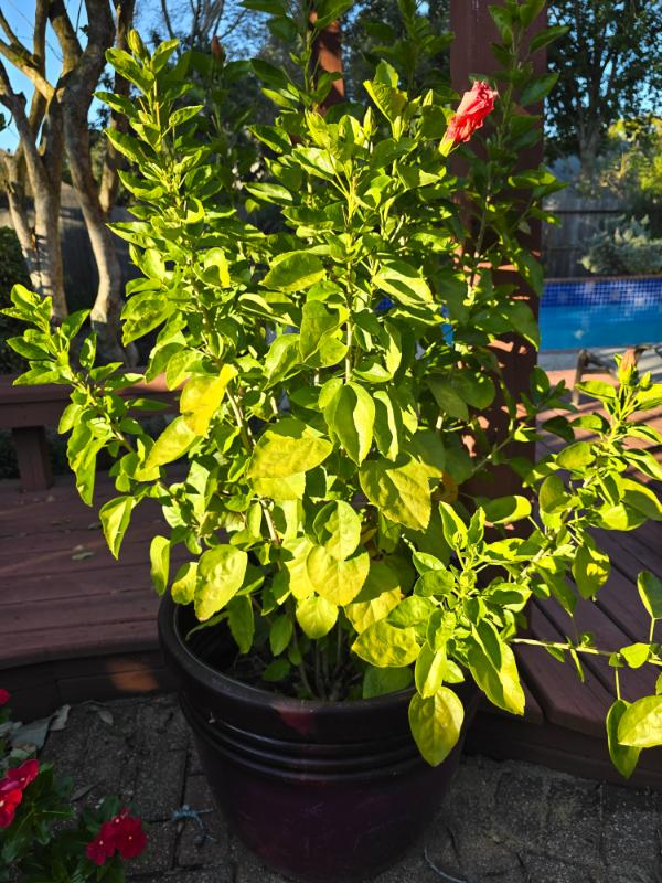 Sale Photo Thumbnail #134