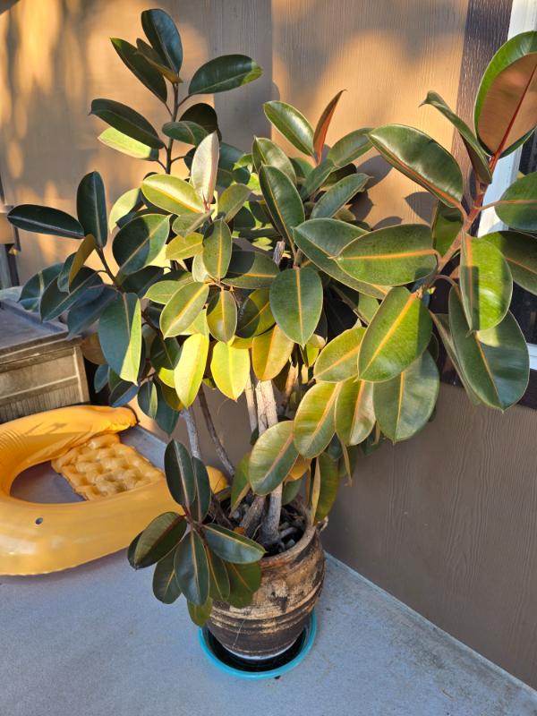 Sale Photo Thumbnail #147