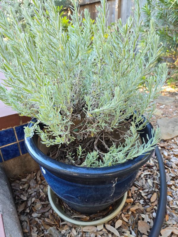 Sale Photo Thumbnail #146