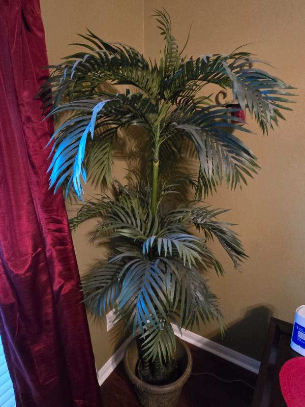 Sale Photo Thumbnail #98