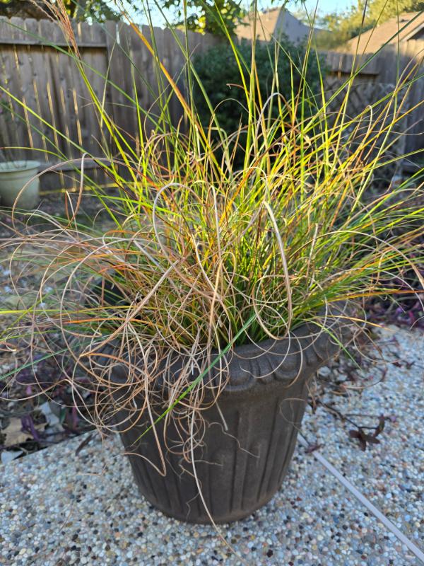 Sale Photo Thumbnail #142