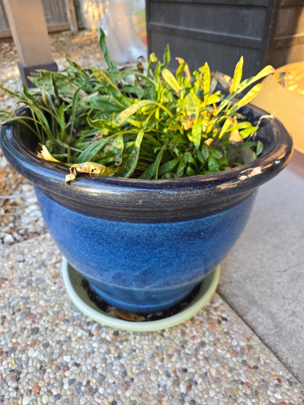 Sale Photo Thumbnail #145