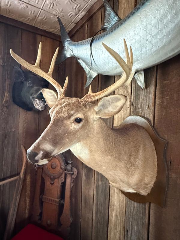 Sale Photo Thumbnail #185