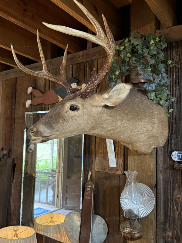 Sale Photo Thumbnail #84