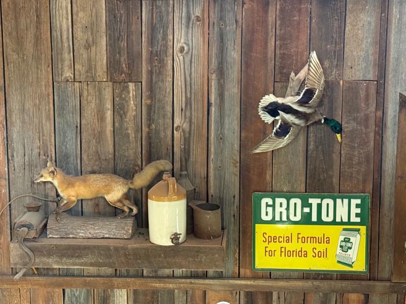 Sale Photo Thumbnail #205