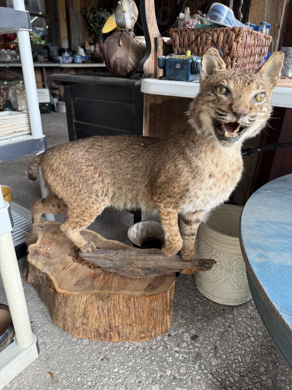 Sale Photo Thumbnail #16