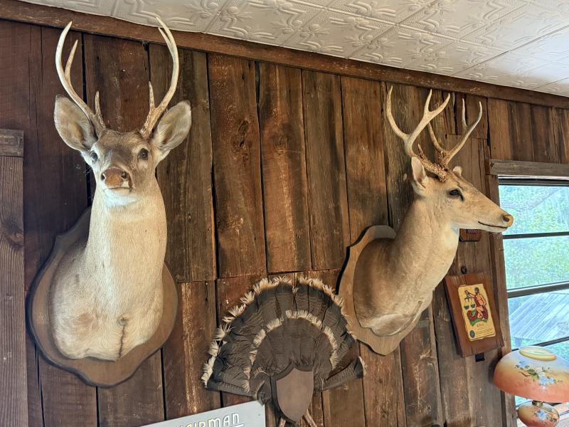 Sale Photo Thumbnail #221