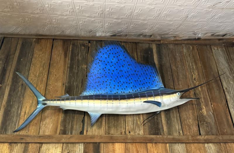 Sale Photo Thumbnail #132