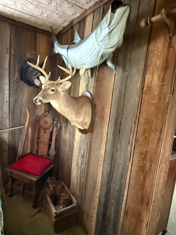 Sale Photo Thumbnail #182