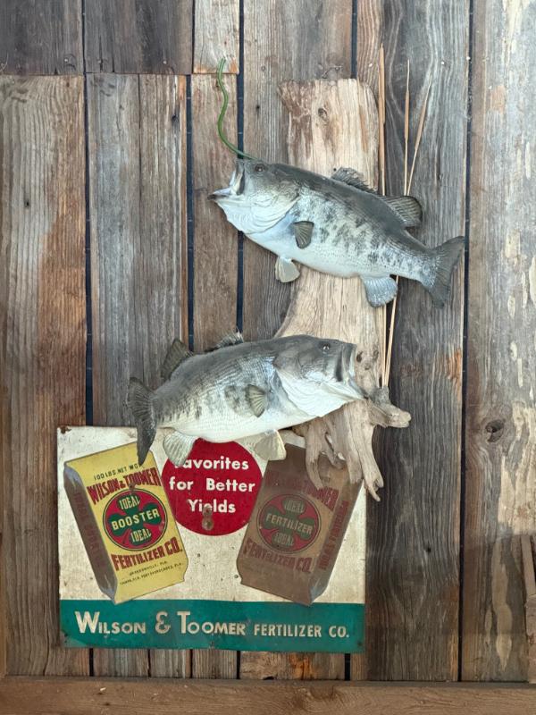 Sale Photo Thumbnail #244