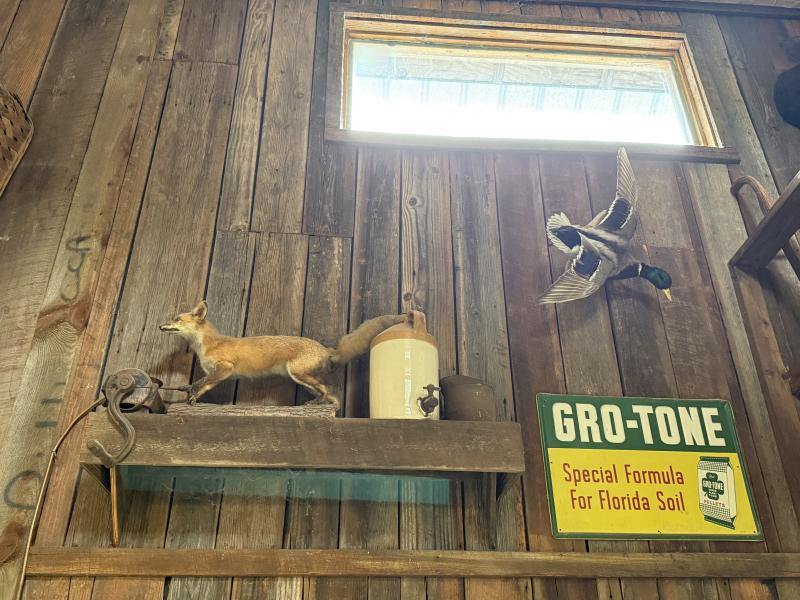 Sale Photo Thumbnail #156