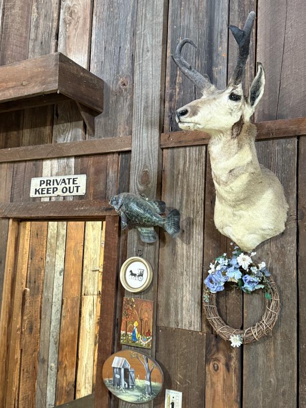 Sale Photo Thumbnail #181