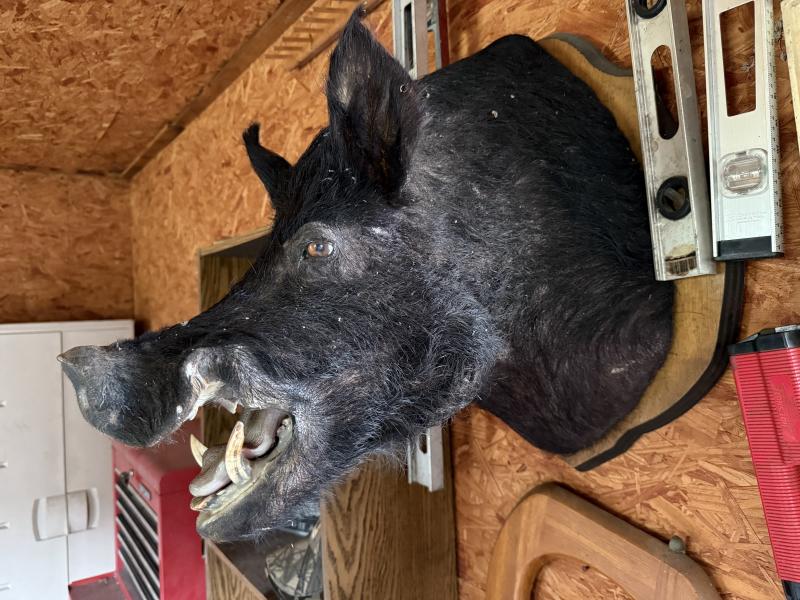 Sale Photo Thumbnail #48