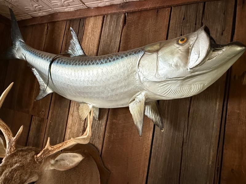 Sale Photo Thumbnail #186