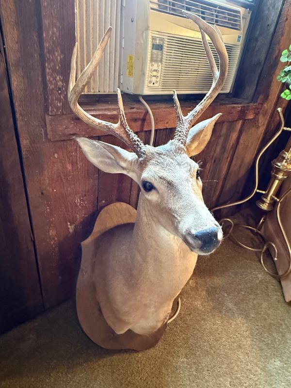 Sale Photo Thumbnail #191