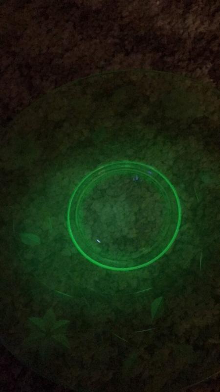 Sale Photo Thumbnail #64