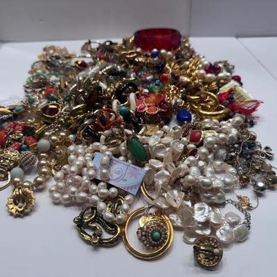 Large Assorted Jewelry Lot #1 - Necklaces, Earrings & More