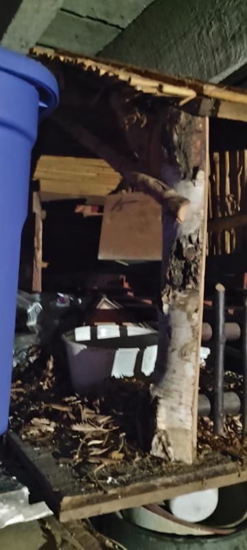 Sale Photo Thumbnail #11