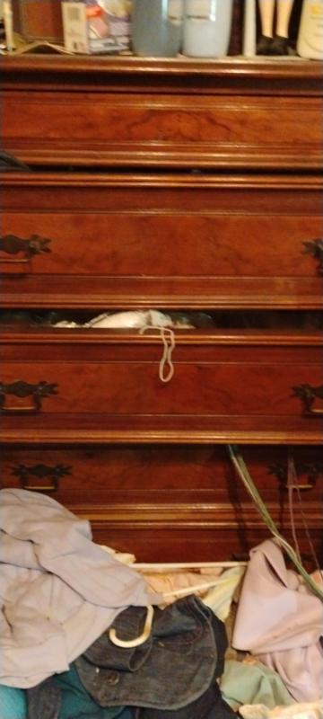 Sale Photo Thumbnail #60