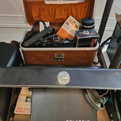 Sale Photo Thumbnail #342