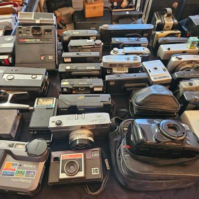 Sale Photo Thumbnail #323