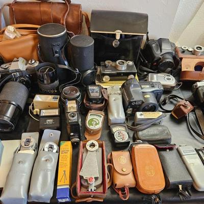 Sale Photo Thumbnail #329