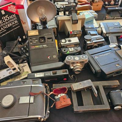 Sale Photo Thumbnail #322