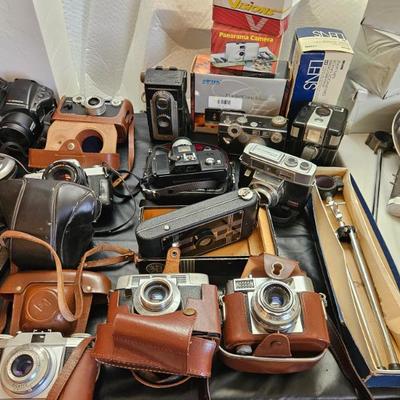 Sale Photo Thumbnail #330