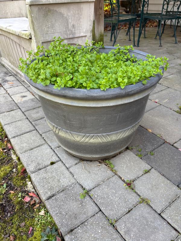 Sale Photo Thumbnail #60