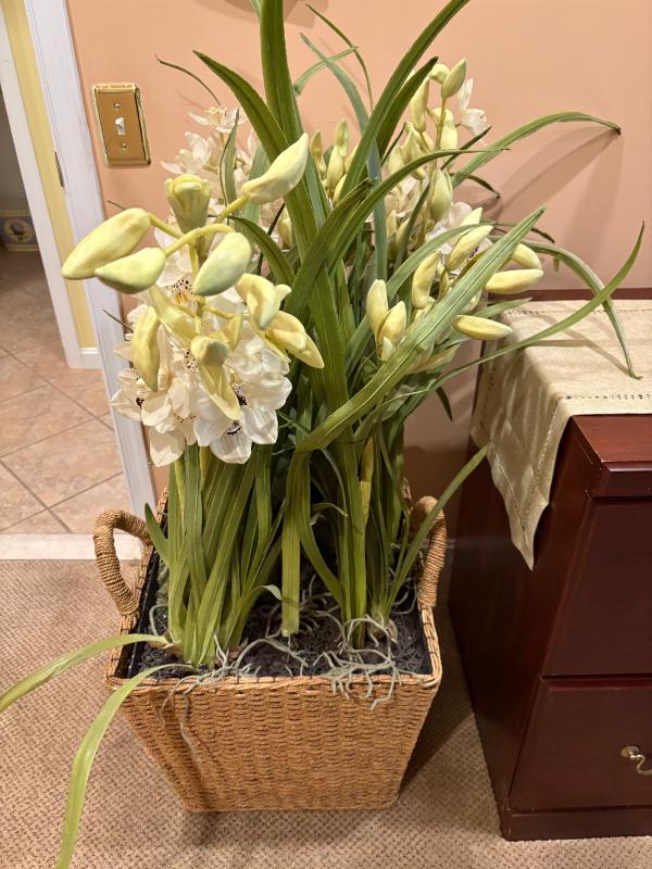 Sale Photo Thumbnail #154