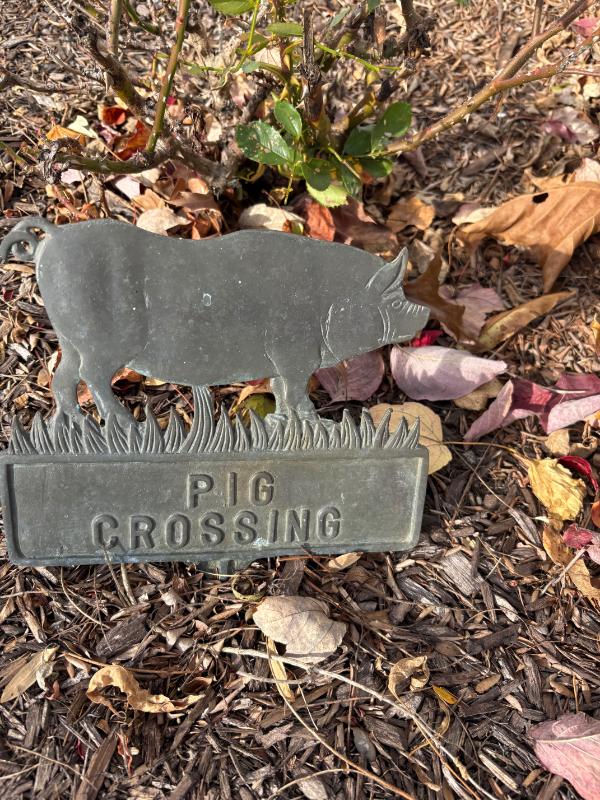 Sale Photo Thumbnail #44