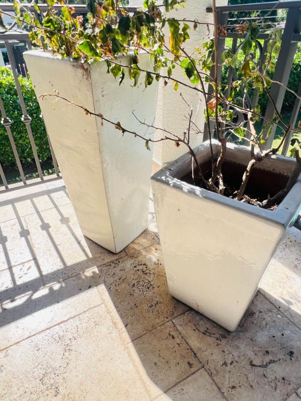 Sale Photo Thumbnail #94