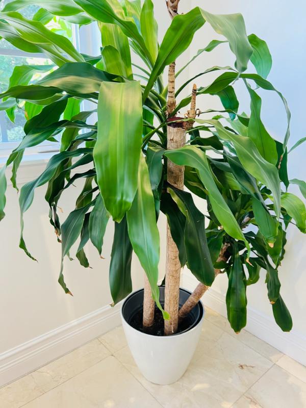 Sale Photo Thumbnail #67