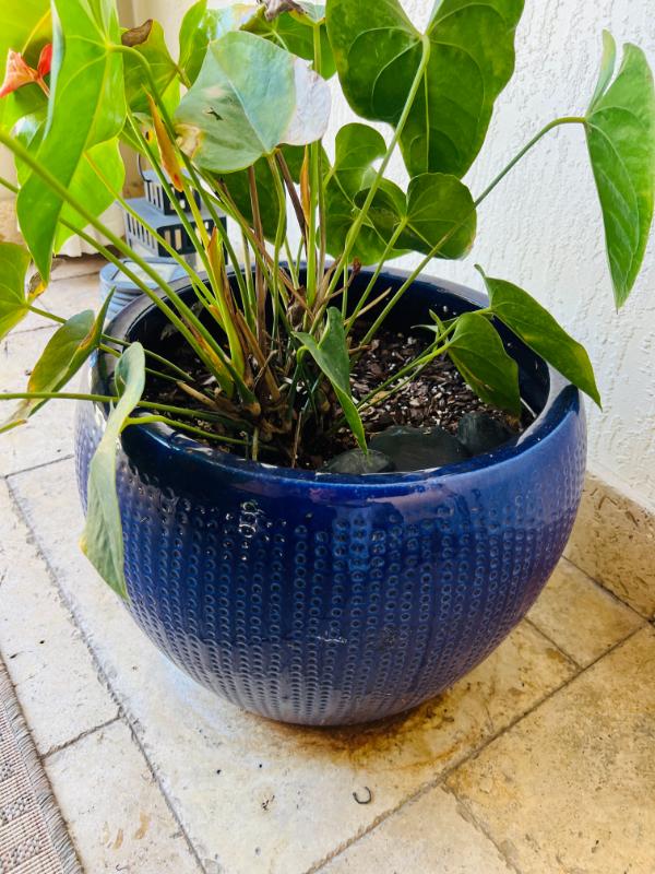 Sale Photo Thumbnail #172