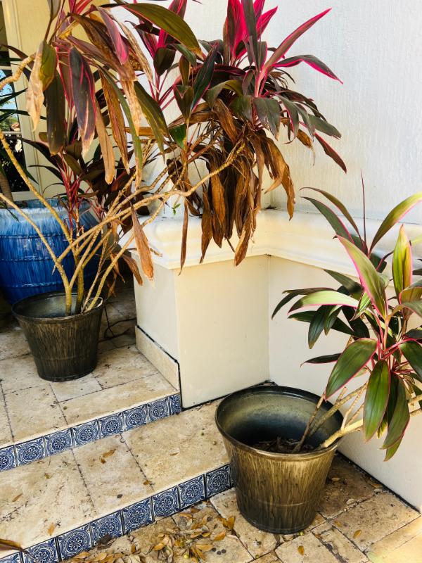 Sale Photo Thumbnail #171