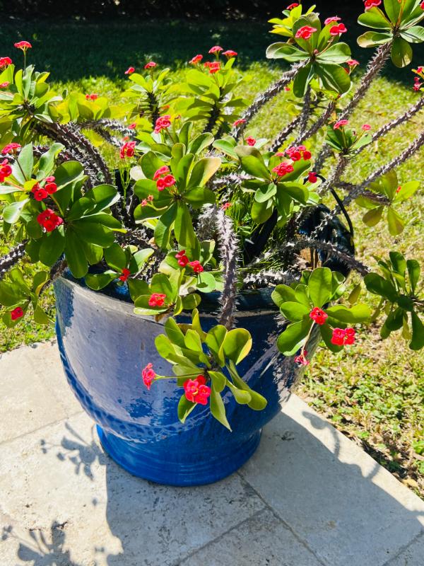 Sale Photo Thumbnail #179