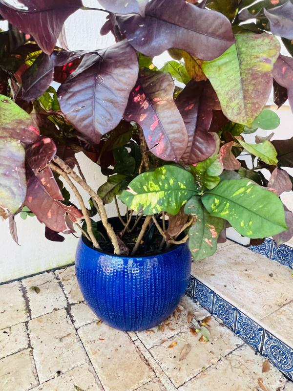 Sale Photo Thumbnail #167