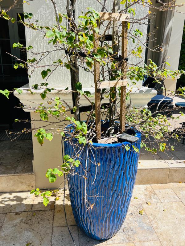 Sale Photo Thumbnail #175