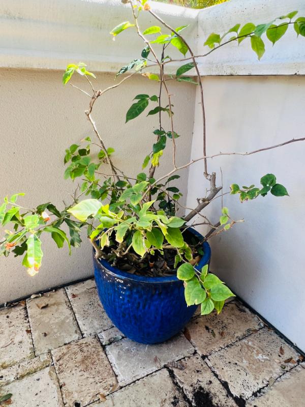 Sale Photo Thumbnail #168