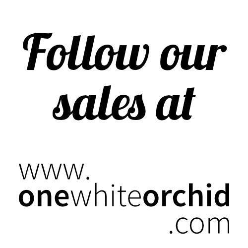 Sale Photo Thumbnail #165