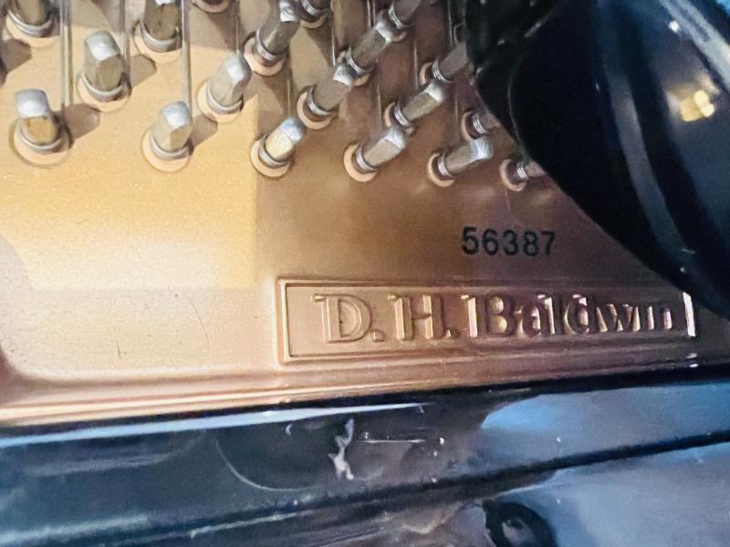 Sale Photo Thumbnail #5