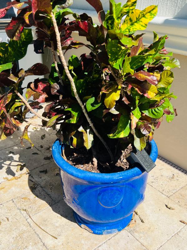 Sale Photo Thumbnail #180