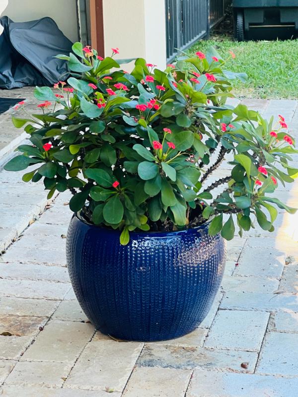 Sale Photo Thumbnail #170