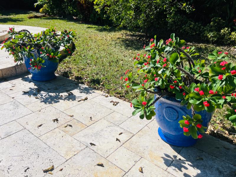 Sale Photo Thumbnail #185