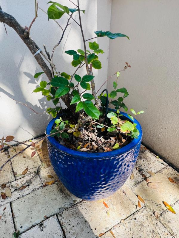 Sale Photo Thumbnail #169