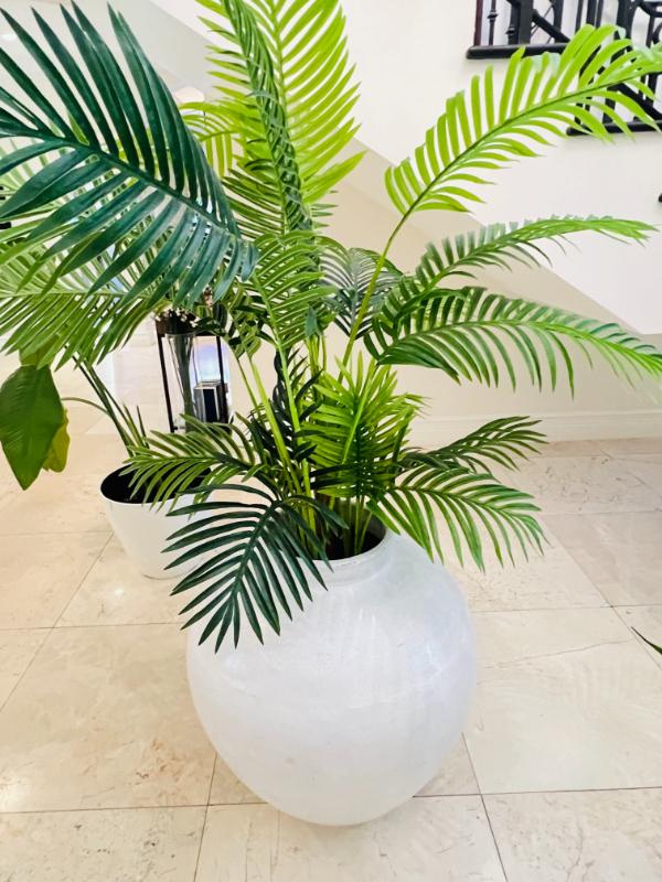 Sale Photo Thumbnail #39