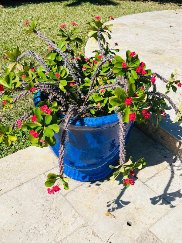 Sale Photo Thumbnail #178